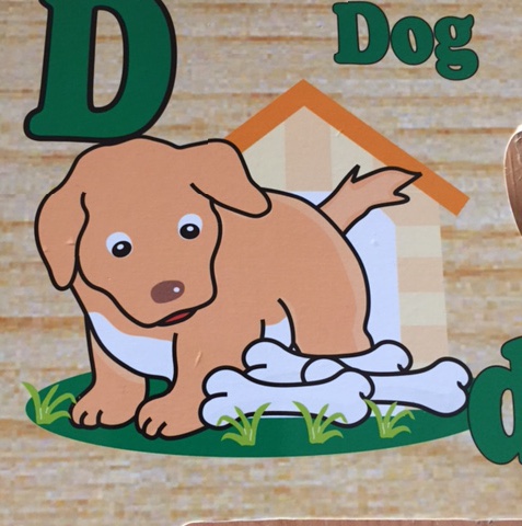 d is for dog