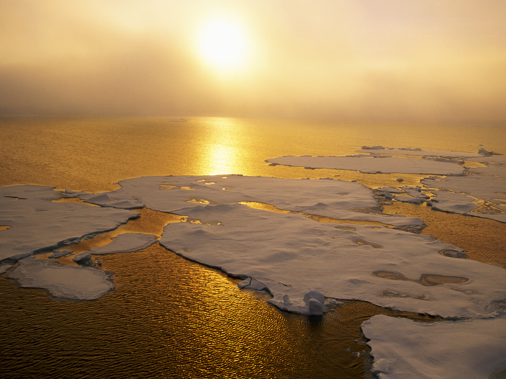 Sunlight over ice floes.
