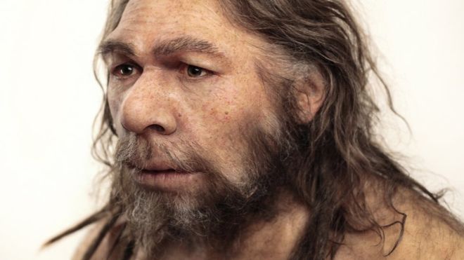 neanderthal