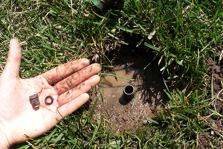 sprinkler head