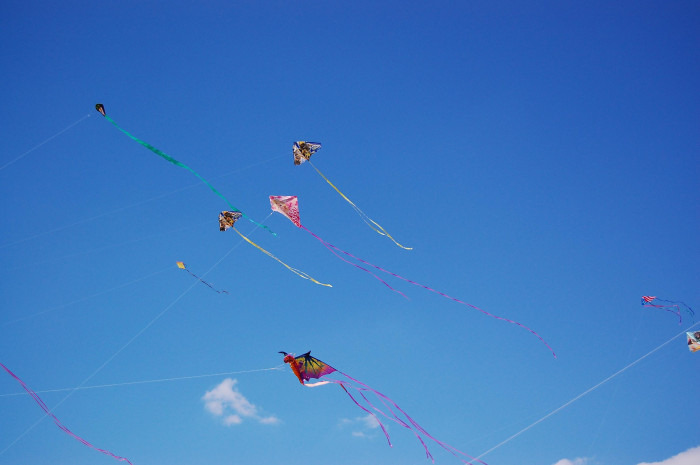 kites