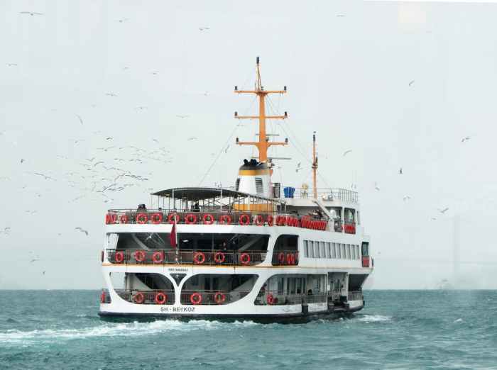 ferry and birds