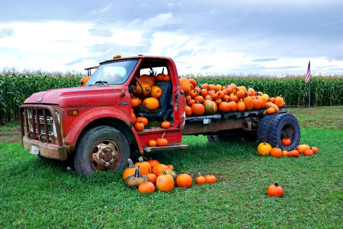 truck, pumpkins, flag