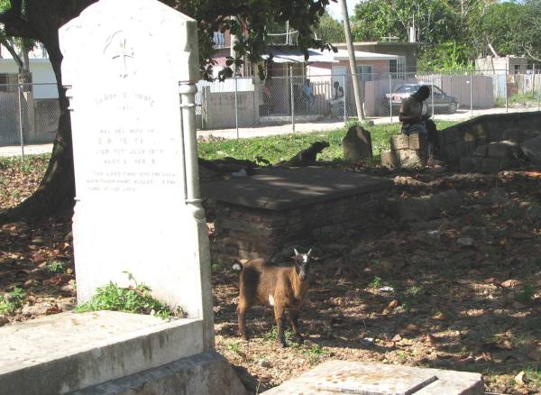 goats and graves